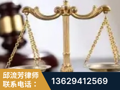 嘉兴-委托诉讼代理人出庭